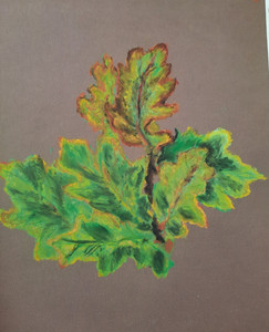 Carol W, oak leaves..jpg